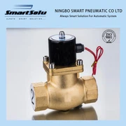 ลูกสูบโซลินอยด์วาล์วอุณหภูมิสูง